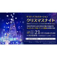 匝瑳市のクリスマスイルミネーションがSNSで反響、地域に新たな広がり