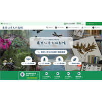 「東京いきもの台帳」植物の標本情報を公表！
