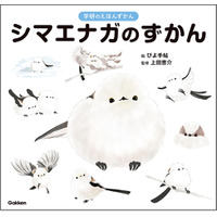 【シマエナガ好きに朗報！】1冊まるごとシマエナガ！　可愛すぎる『シマエナガのずかん』予約受付中！
