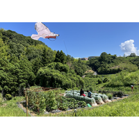 学生の研究実装によりJクレジット１トンを創出、地域へ寄付【島根県立大学】