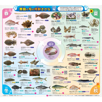 【京都府舞鶴市】約10年ぶりに「舞鶴の旬の特鮮さかな」をバージョンアップ！