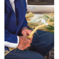 【長野市中条】道の駅中条で地域の魅力と年末の風物詩を楽しめるイベント「年の瀬フェア2025」開催！