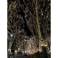 レンタルのニッケン「2025SENDAI光のページェント」に協賛