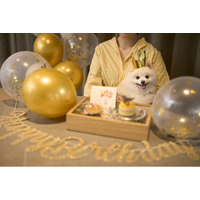 1日2組限定・お部屋のデコレーション＆ケーキを無料でご案内！愛犬と泊まれる宿「Dear Wan Spa Garden」初春キャンペーン