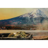 【奈良いきものミュージアム】まるで温泉旅館、でも主役は爬虫類。“湯けむり可愛い”冬の企画展「はちゅうの湯」開催