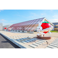 出雲大社近くに新観光スポット！いちご狩り施設「出雲ICHIGO縁」誕生！