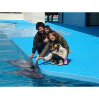 【南知多ビーチランド】12月31日は希望者全員がイルカと握手！大晦日限定の特別イベントを開催＜愛知＞