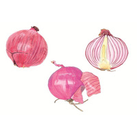 【国立科学博物館】国立科学博物館主催 第42回植物画コンクール入選作品決定