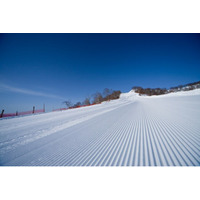 ホワイトワールド尾瀬岩鞍、９コース　総滑走距離７，６３０ｍ確保