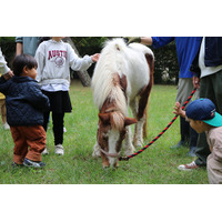 新春にポニーと記念撮影&昔懐かしいお正月遊び【国営海の中道海浜公園】