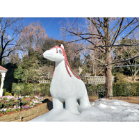 2026年は午年（うまどし）！パーク内の「うま」をご紹介