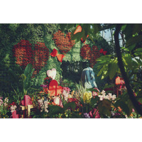 神戸布引ハーブ園で「Winter Garden Fair 2026」を開催。「ほっこり心温まる」をテーマに、温室を中心に、赤やピンクのハートのオブジェやリボン、カラフルな花々が演出するガーデンが登場！