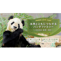 PANDA LOVE CLUB「永明とともにつながるパンダファミリー ～１月２５日 永明一周忌～」トークイベント＆メモリー展を実施