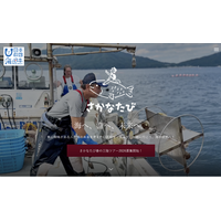 高校生・大学生向け 海の体験と未来づくりツアー 「さかなたび」春の三陸ツアー2026開催決定！参加者募集開始