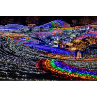 まんのう公園のイルミネーション「ウィンターファンタジー」に過去最多20万人が来園（国営讃岐まんのう公園）