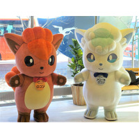 ロコンとアローラロコンが釧路空港にあそびにきます！