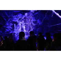 【奥入瀬渓流ホテル】地元の魅力を未来へ繋ぐ。中学生を対象とした「氷瀑ライトアップツアー」体験会を実施