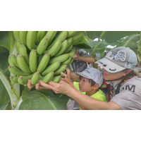 高槻産バナナの農園見学やプロによるロケーションフォトなど魅力的なプログラムが満載