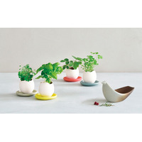 1999年誕生、栽培キット第一号「eggling」ロングセラー商品に、待望の専用ソーサー付き新モデル登場