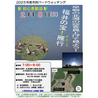 福井の宝！雁行ウォッチング
