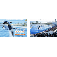 【神戸須磨シーワールド】日頃の感謝を込めて「大阪府民感謝月間」を実施　大阪府に在住の方は入館料大人2,500 円