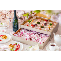 【グラングリーン大阪 パークビューのお花見アフタヌーンティー】春限定！満開の桜に包まれる『桜＆ストロベリー』が1月30日（金）予約開始！3月3日（火）より提供スタート／ザ ジャクソン ガーデン