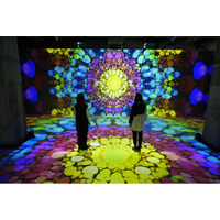 会期1カ月も経たず「NAKED meets ガウディ展」動員5万人達成！