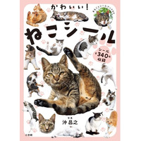 シールブーム到来、2月22日（猫の日）におすすめのシールブックが誕生！ 貼っても貼っても猫だらけの、満足感がすごい至福の一冊です。まるごとシールブックDX『かわいい！ねこシール』小学館より好評発売中！