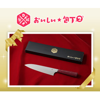 「DAIGOも台所　おいしい★包丁２」1週間限定・特別価格で販売開始！さらに送料は当社負担。