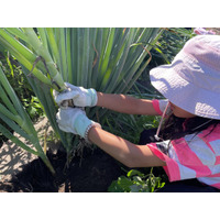 海と大地が育む「豊かな暮らし」。八雲町で行う親子留学プログラムが新たな感動を提供いたします。