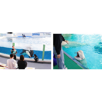 【鴨川シーワールド】飼育員の解説にヒントが！今回は限定「ふり返り問題集」付き！ 鯨類に少し詳しくなる体験型プラン『大人の鯨類スクール』開催！！