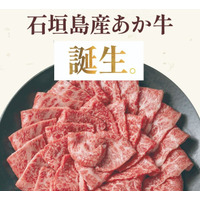 一年中放牧が可能な石垣島の環境を活かし、あか牛の放牧飼育に挑戦