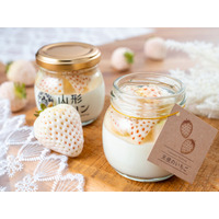 雪国山形から届く“白いちごの雪景色”。希少な「天使のいちごプリン」が2026年2月28日（土）より期間限定で登場！ホワイトデー限定セットもオンラインにて発売。