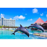 美ら島・沖縄【Club Savvy】3連泊♪エンタメビーチリゾートで特別感ステイ