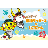 ちばりよー！阪神タイガース×ひこにゃん　2026年春季キャンプグッズが本日よりECサイトで販売開始！