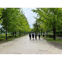 2025年度は73校の学校がチーム力を高める「ぷちアドベンチャーゲーム」を実施　非日常体験を通じた教育的効果が期待されています