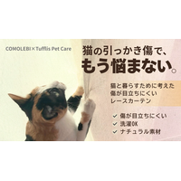 猫の引っかき傷に、もう悩まない。傷が目立ちにくいレースカーテン「Tufflis」新モデルを開発。Makuakeにて３月５日より先行公開