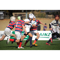 第38回上毛新聞 カインズカップ U-12ラグビーフットボール大会を開催