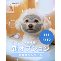 【PetsTokyo 幡ヶ谷店店】しっとりサラサラ新オプション半額キャンペーンを３月より開催