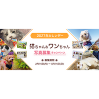 いなばペットフード　2027年カレンダー「猫ちゃん＆わんちゃん写真」大募集！