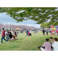 【五霞町町制施行30周年記念事業】OHANAMI~ごかマルシェ2026~開催！