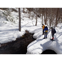 【スノーシューで自由に巡ろう！】「滝野の森」で春探し!!（国営滝野すずらん丘陵公園）