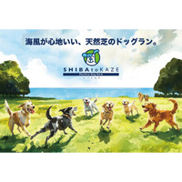 海風が心地いい、天然芝のドッグラン「SHIBA to KAZE Pacifico Dog Park」