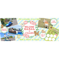 伊豆ぐらんぱる公園はデイタイムも伊豆高原グランイルミも、わんちゃん大歓迎♪ 春休みの『WELCOMEわんちゃんinぐらんぱる』イベント開催