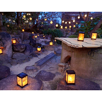 【愛知県半田市】『春の行燈飾り』が半六庭園に登場。心温まる光景で新たな春をお楽しみください。