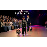 愛犬と一緒にランウェイデビュー！参加型ファッションショー「WHATAWON COLLECTION」開催
