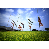 春はポカポカ陽気の小豆島　二十四の瞳映画村