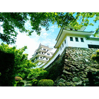 新緑に染まる郡上八幡城が舞台。「積翠城 新緑まつり2026」～城主と出会い、歴史と自然を楽しむ春の一大体験イベント～