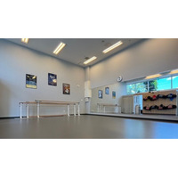 【オープン1周年】東京バレエ団・劇団四季を経験したダンサーが直接指導。3月22日(日)、姫路にオープンしたバレエスタジオ1周年を記念し、期間限定で無料体験キャンペーンを実施。