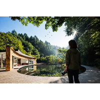 【軽井沢星野エリア】鳥の「まなざし」と出会う、森のフォトセッションを初開催。鳥の「きもち」に寄り添う新しい撮影体験｜2026年4月25日